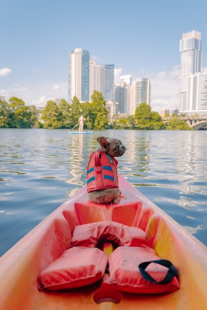 how to kayak with a dog