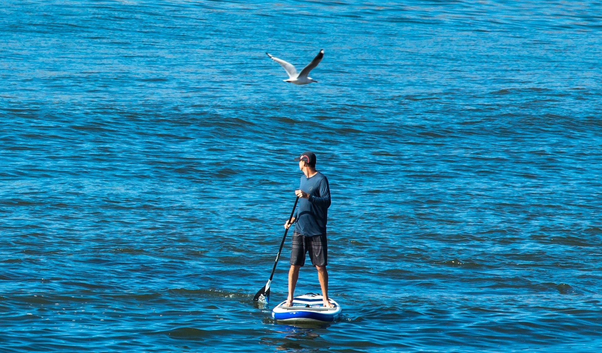 Man On Paddleboard